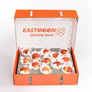 High Quality Color Printing Fruit Box Recyclable Custom Design Cardboard Box for Fruits