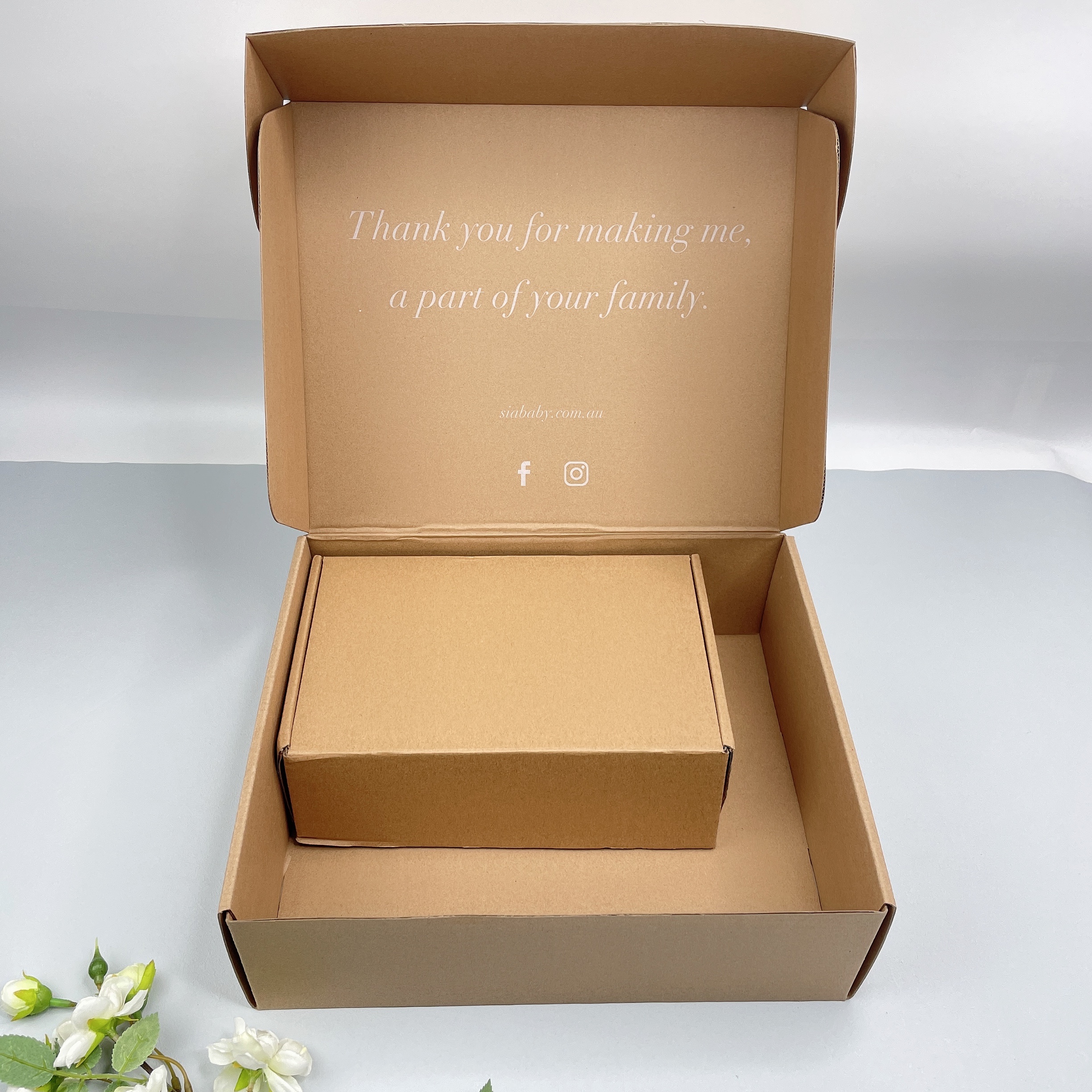 Clothing packaging shipping mailer box for business
